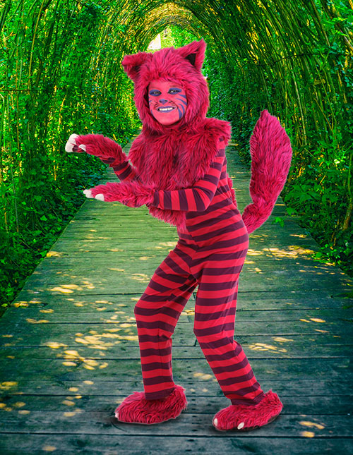 alice in wonderland cat costume