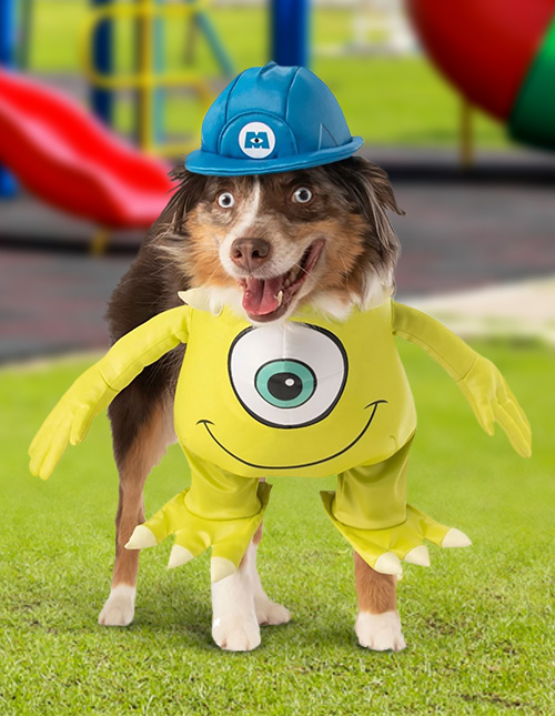 Monsters Inc. Dog Costume