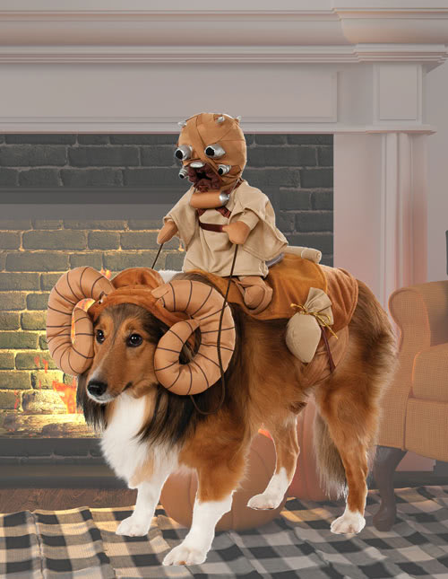 Puppy costumes deals