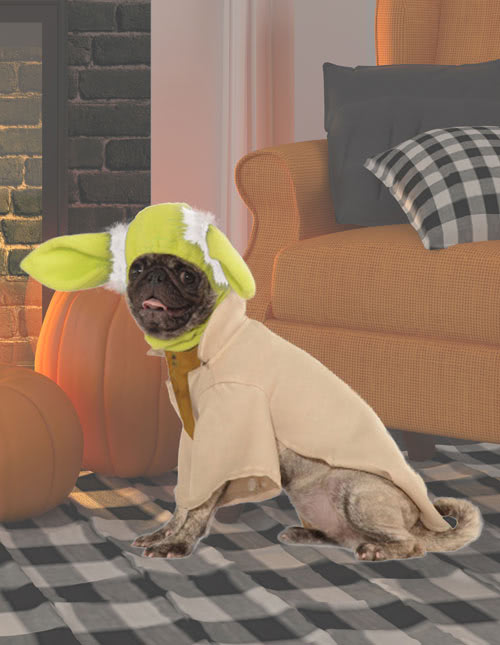 Yoda Dog Costume