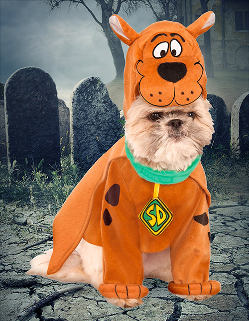 Scooby-Doo Dog Costume
