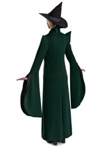 Adult Prestige Professor McGonagall Costume Alt 5