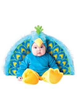 12 month boy costume