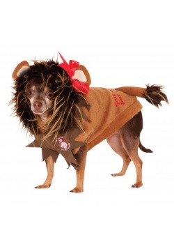 Cowardly Lion Pet Costume
