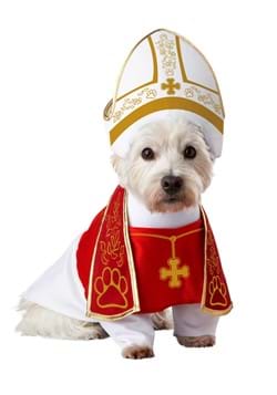 Holy Hound Pet Costume