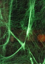 Glow in the Dark Spider Webs Alt 2