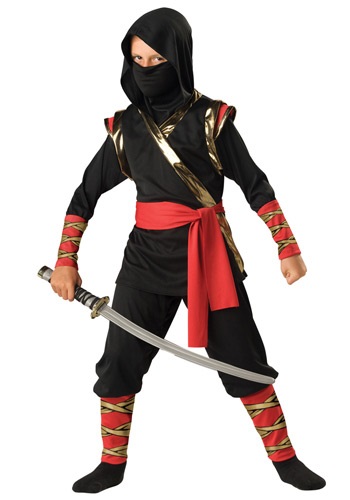 Ninja Costume