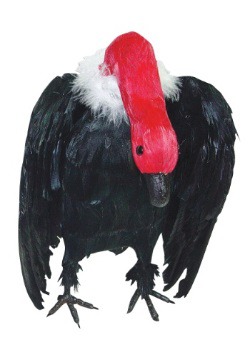 Vulture with Head Down Prop