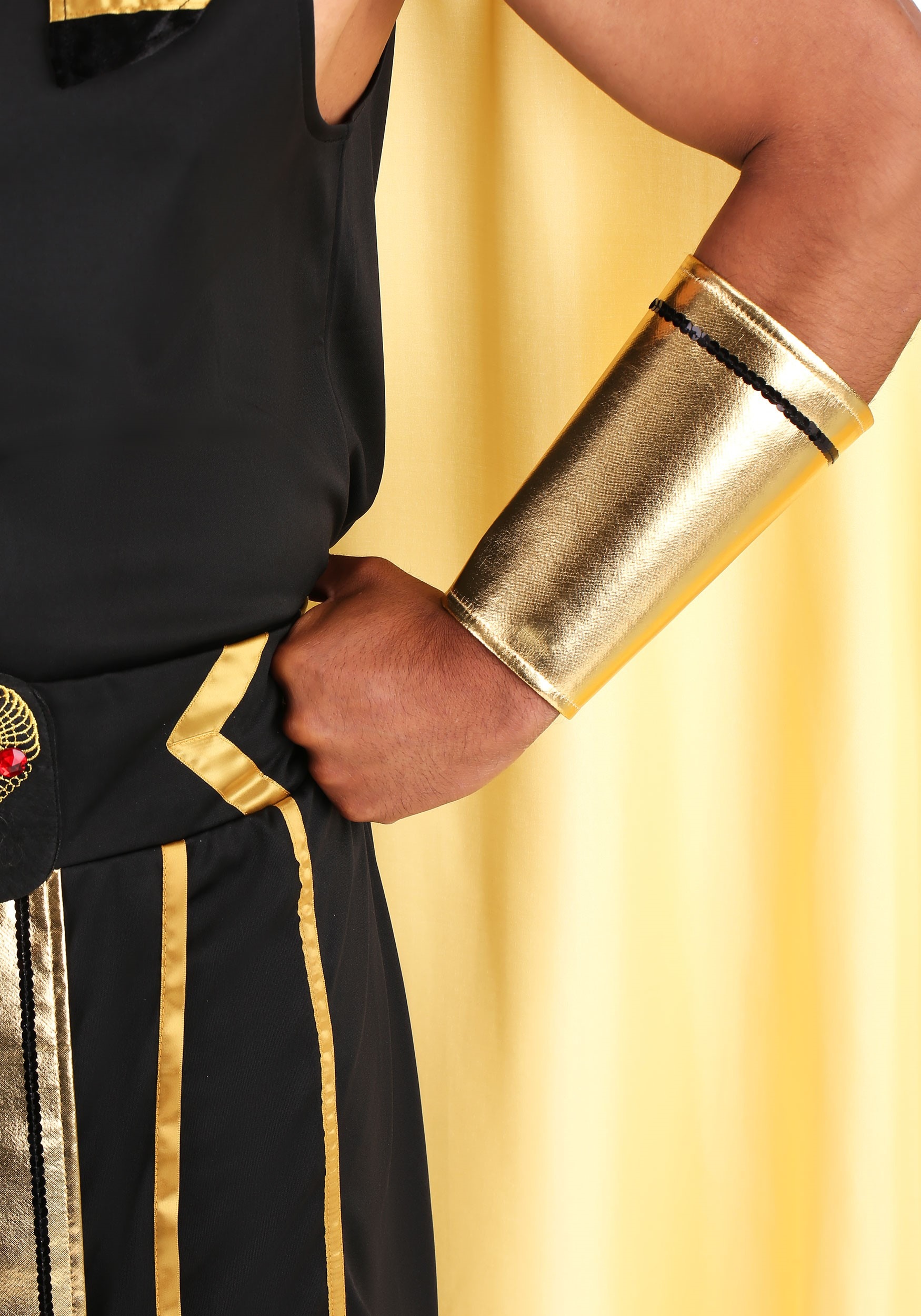 Men's Plus Size King Of Egypt Costume , Egyptian Costume