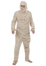 Plus Size Men's Mummy Costume