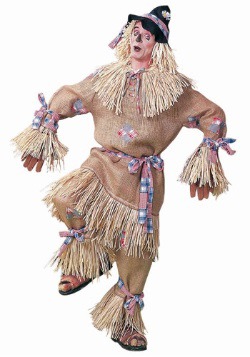 Adult Deluxe Scarecrow Costume