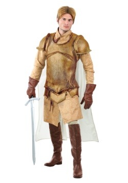 Renaissance Knight Mens Costume