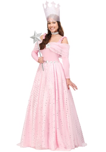 Plus Deluxe Pink Witch Dress Costume