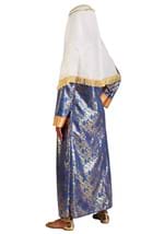 Women's Plus Size Queen Esther Costume Alt 2