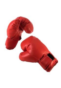 Adult Boxing Gloves