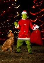Mens The Grinch Santa Deluxe Jumpsuit with Mask Alt 6