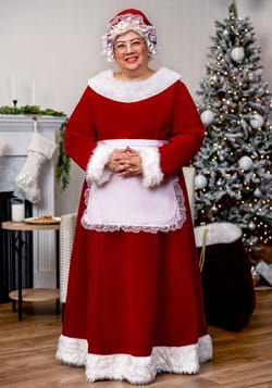 Plus Size Mrs Claus Costume