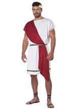 Adult Party Toga Costume Alt 1