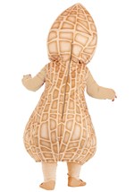 Infant Peanut Costume Alt