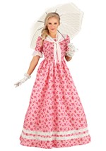 Lovely Southern Belle Costume