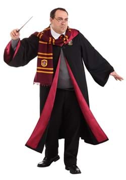 Plus Size Deluxe Harry Potter Costume Upd