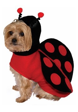 Ladybug Dog Costume