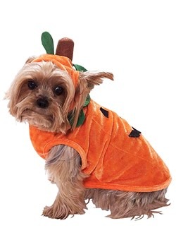 Pumpkin Dog Costume