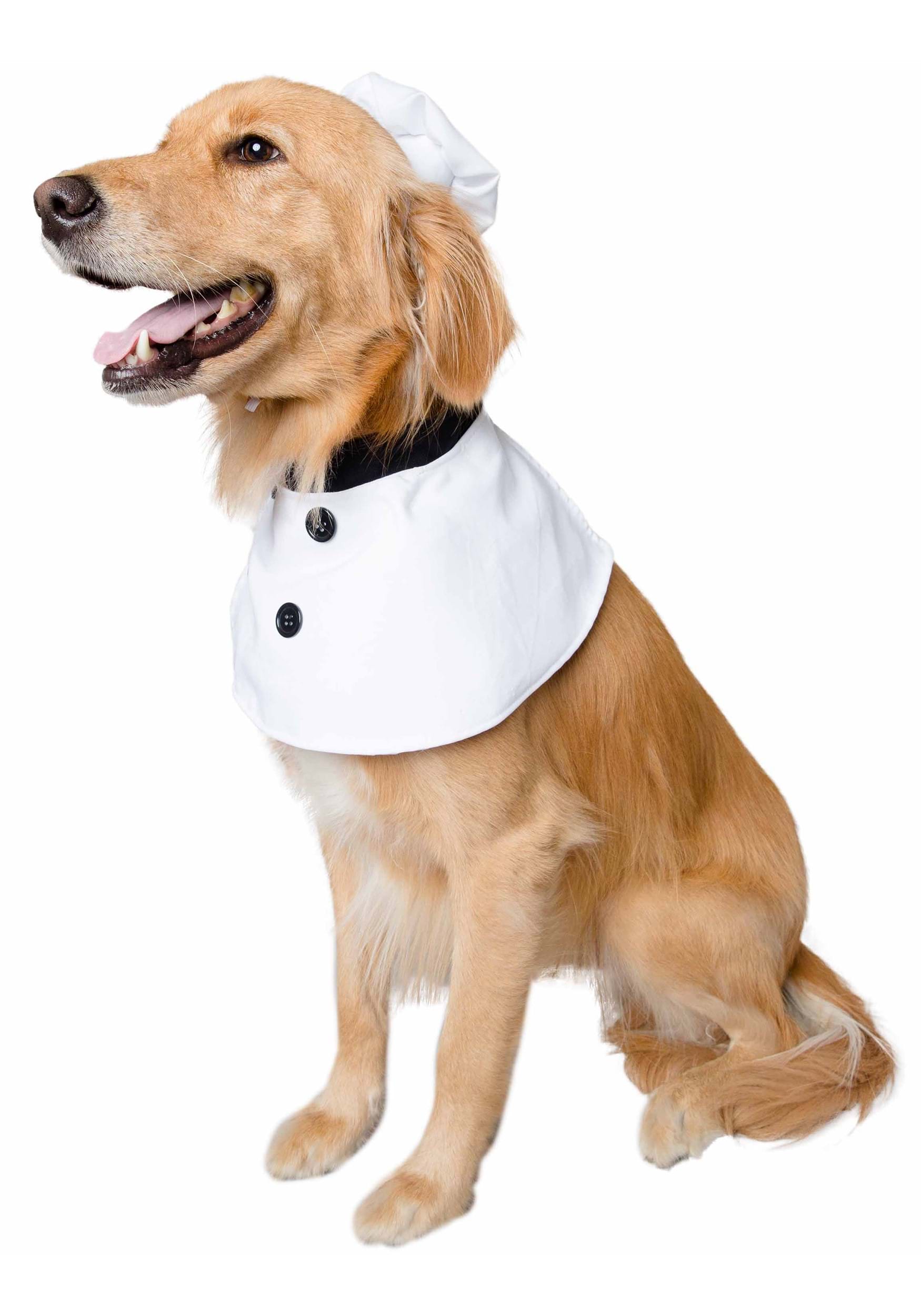 Pet Chef Costume