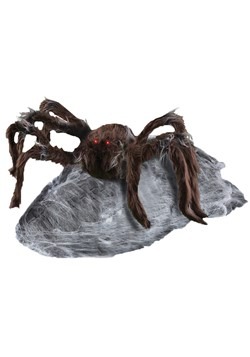 Animated Brown Jumping Spider