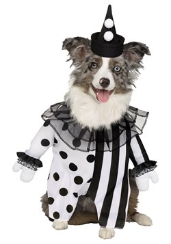 Killer Clown Pet Costume