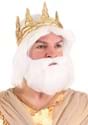 King Neptune Adult Wig and Beard Set