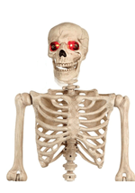 Animated Skeleton Mr. Crazy Bonez 