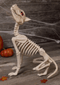 Howling Bonez Animated Dog Skeleton