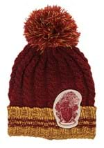 Gryffindor Heathered Pom Beanie Alt 4