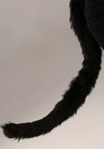 Cat Soft Headband & Tail Kit Alt 3