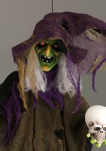 6ft Hanging Witch Animatronic (sound, light, shaki Alt 1