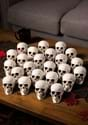 Bag of 24 skulls