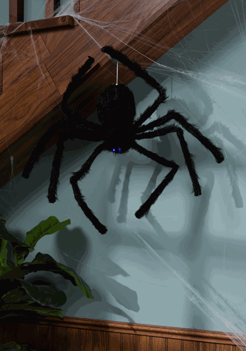 Floating Dropping Spider