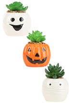 Halloween Succulent Planter Set Alt 1