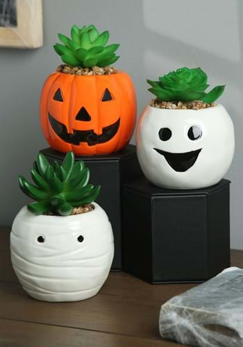 Halloween Succulent Planter Set