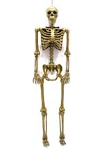 60" Gold Life Size Posable Skeleton Prop Alt 3