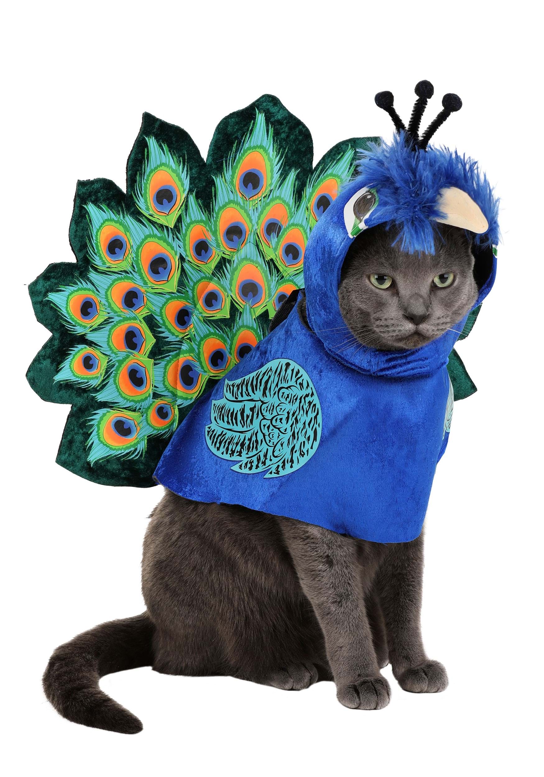 Pet Costume: Pretty As A Peacock
