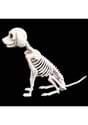 7.5" Sitting Puppy Skeleton Alt 1