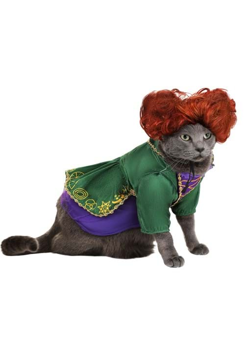 Disney Hocus Pocus Winifred Sanderson Dog Costume