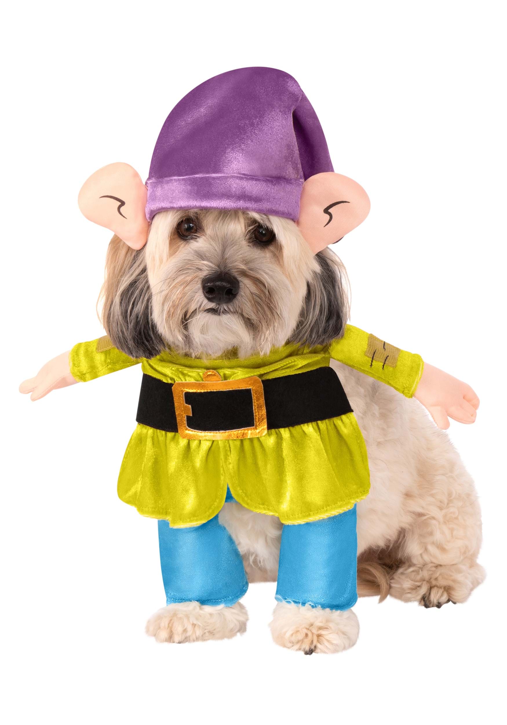Dopey- Disney Dog Costume