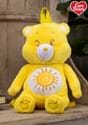 Care Bears Medium Tenderheart Bear Plush