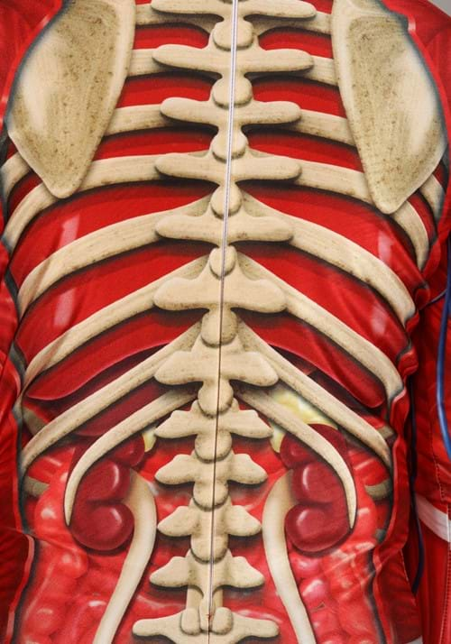 Kid's Anatomical Muscle Suit Costume