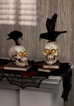 Set of 2 Resin LED Skull on Books w/Crow Alt 1