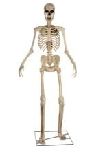 Animated 8 Foot Giant Skeleton Decoration 3