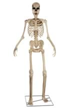 Giant 8' Animated Skeleton Decoration Alt 10